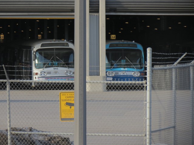 Calgary Fishbowl bus