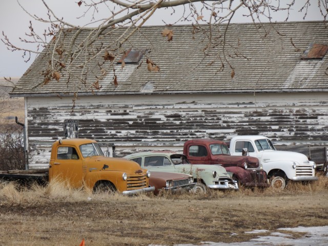 Two 1940s-50s Chevy trucks