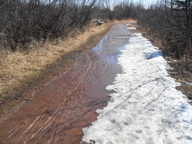 Muddy pathway Cochrane