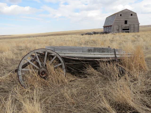 Wagon and barn