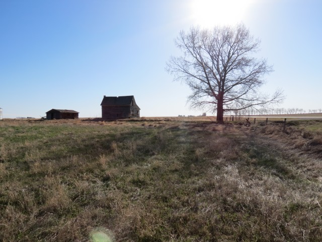 Farm house and tree