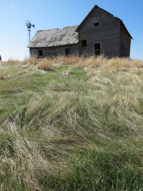Farm and grass
