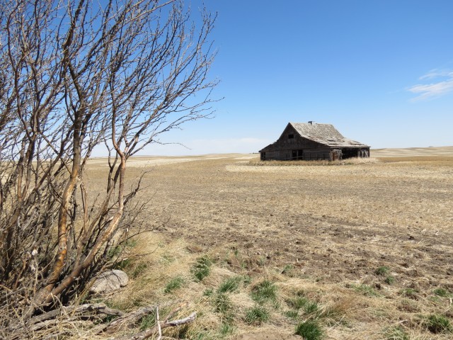 Old barn in field