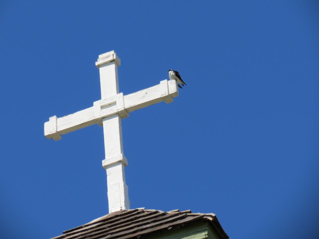 Bird on a cross