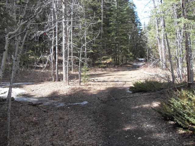 Stoney Trail junction