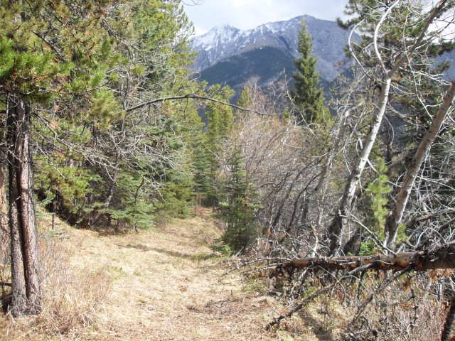 Ford Highwood trail