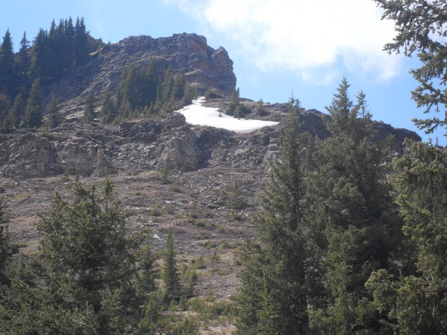 Junction Hill summit