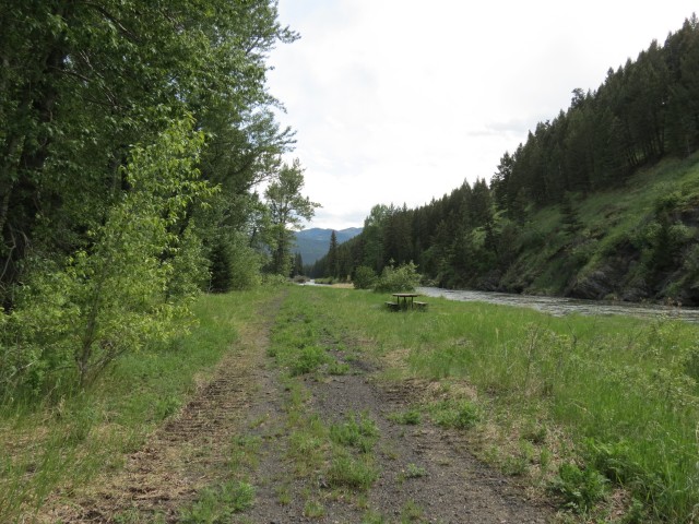Crowsnest River trail