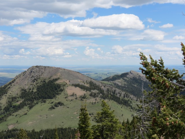 Robertson and Tallon Peaks