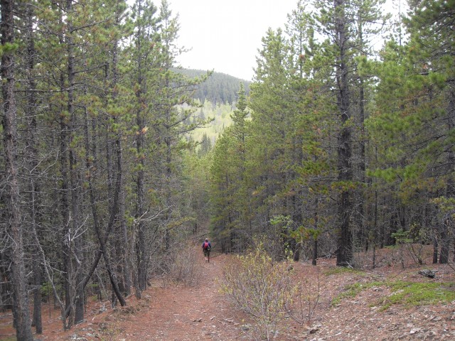 Eagle Hill trail
