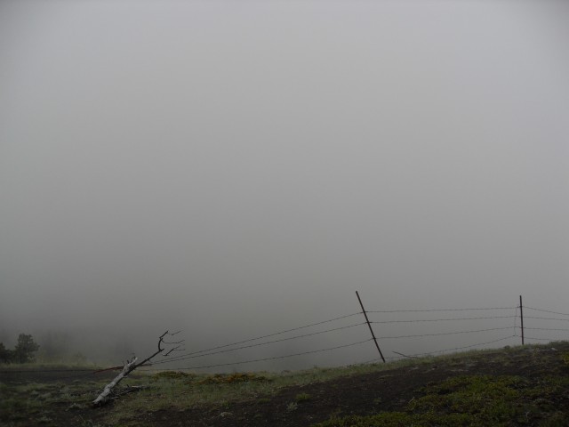 Eagle Hill fog