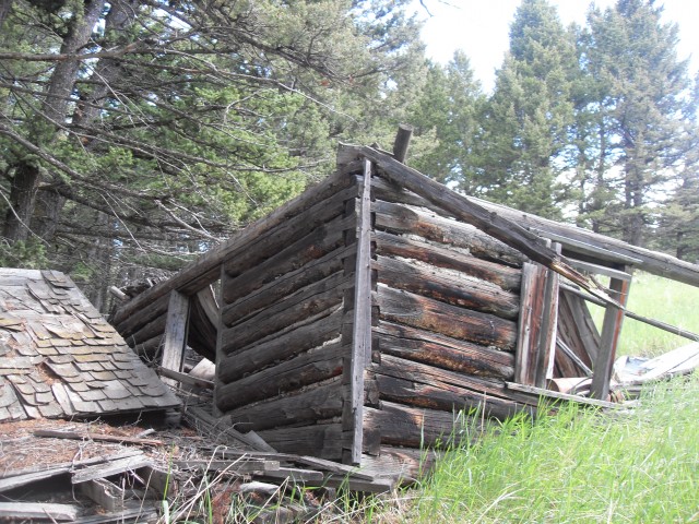 Old cabin Two Mine trail