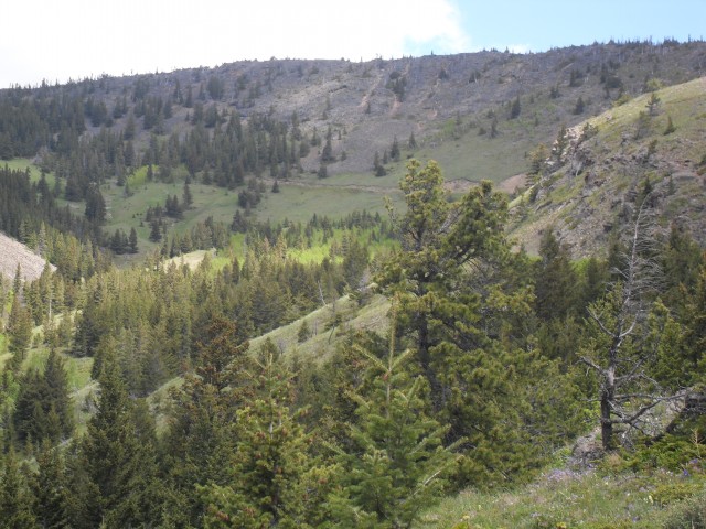 One Mine Ridge