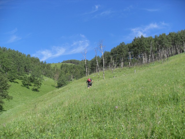 Ridge above Nash Meadows