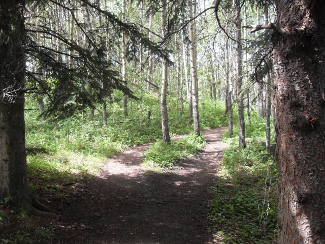 Trail at Big Hill Springs
