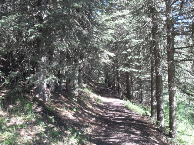 Carry Ridge hiking trail