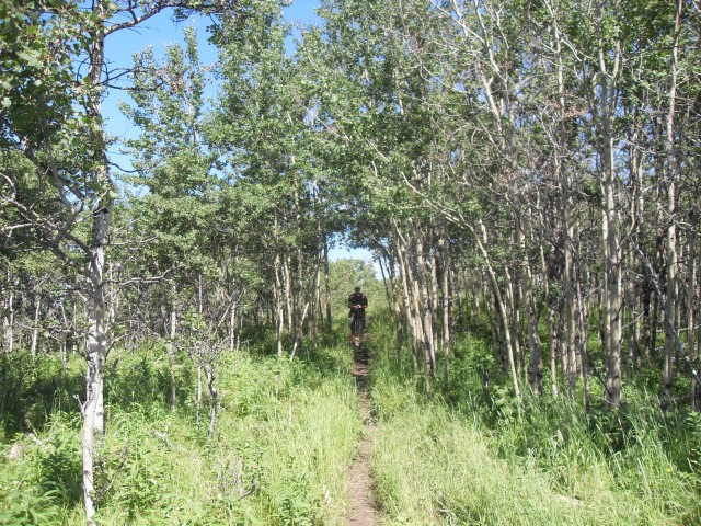 Trail Carry Ridge