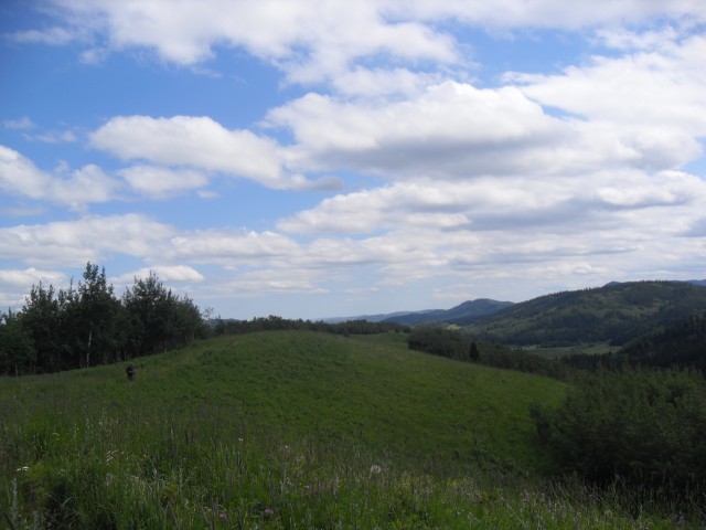 Meadows on Carry Ridge