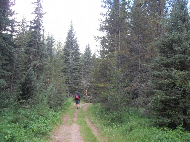 Wind Ridge trail