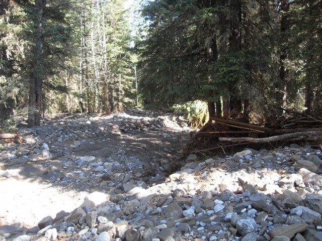 Wind Ridge trail damage