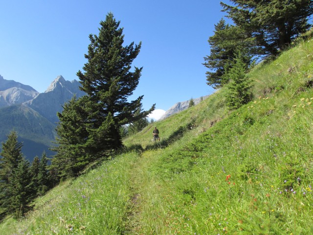 Wind Ridge grassy slopes