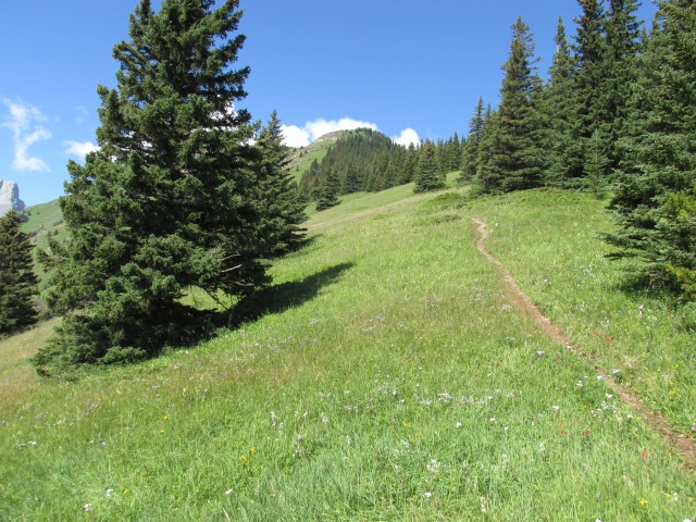 Hiking trail Wind Ridge 