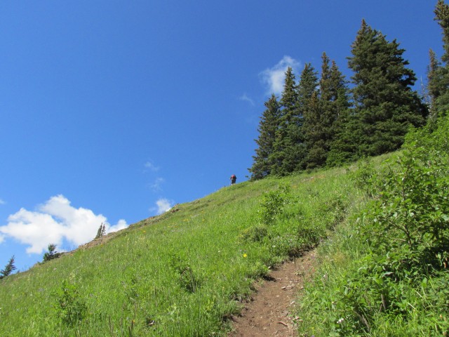 Wind Ridge steep trail