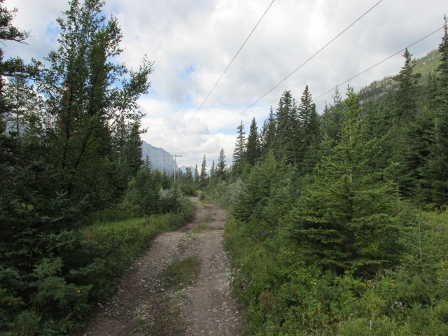 Jura Creek trail