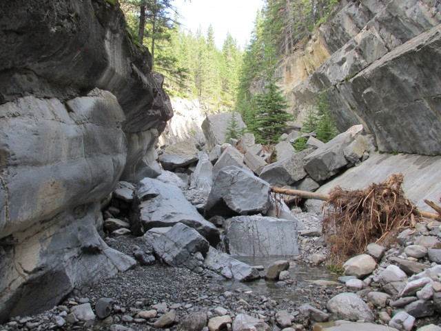 Jura Creek fallen rocks