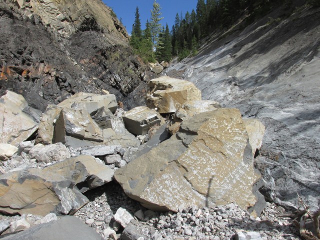 Fallen rocks Jura Creek