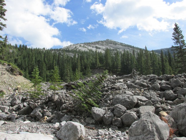 Jura Creek boulder fields