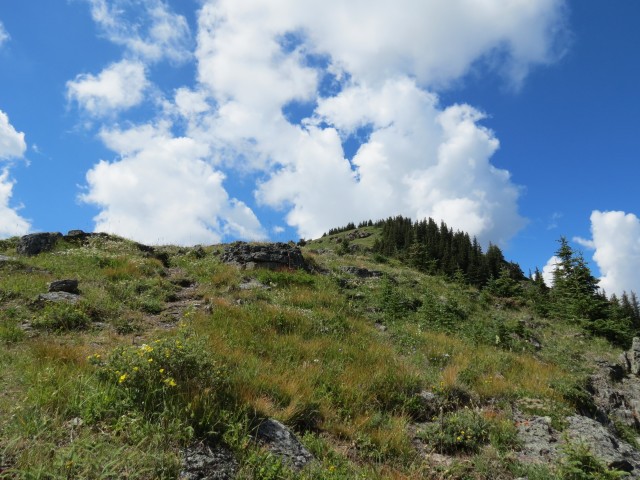 Steep trail Wind Ridge