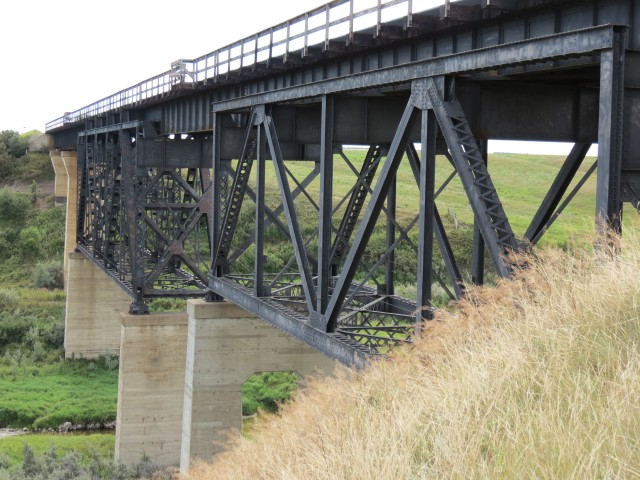 CNR trian bridge Swalwell