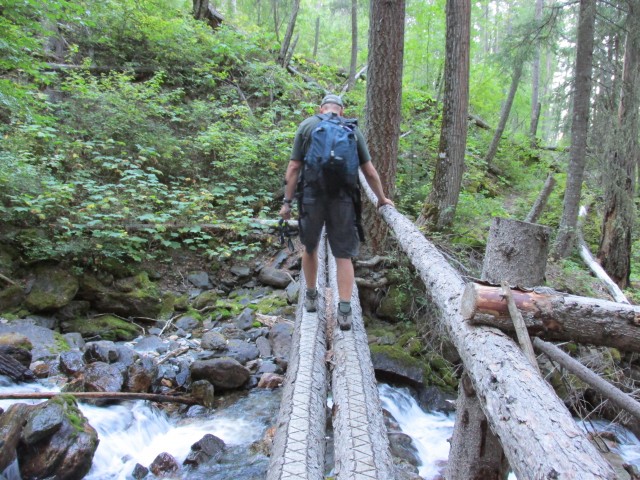 Sunken Creek trail bridge