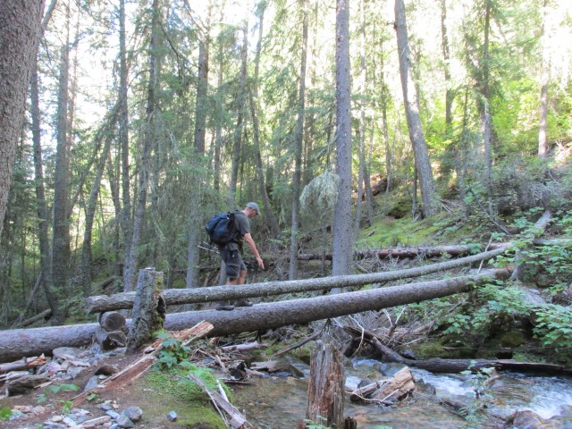 Bridge Sunken Creek hike