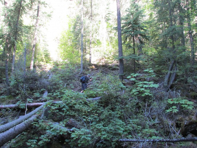 Steep Sunken Creek Trail