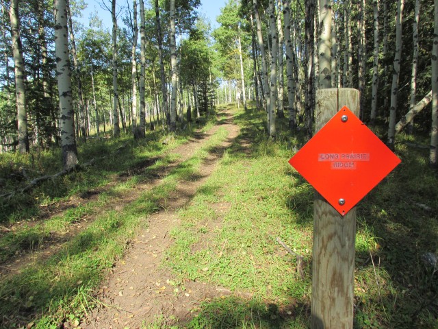 Long Prairie Ridge trail