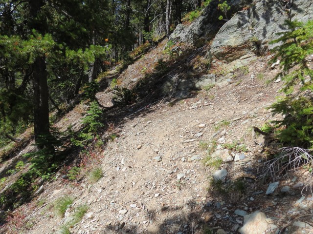 Dibble Mine trail