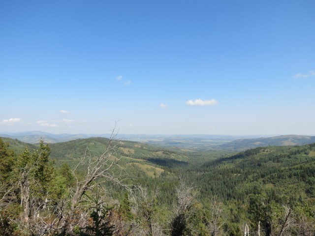 Pine Ridge trail view