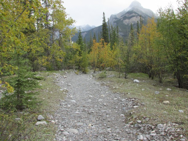 Grotto Creek trail