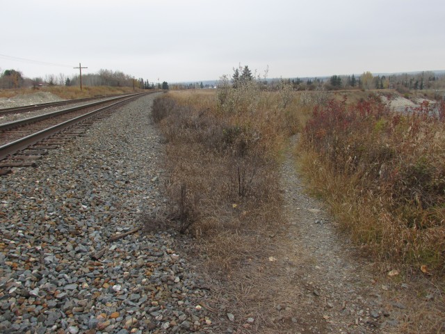 Trail west of Edworthy Park