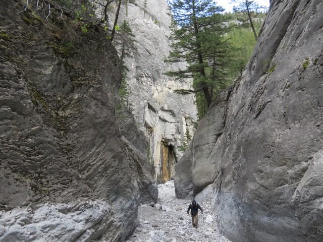 Grotto Canyon hiking