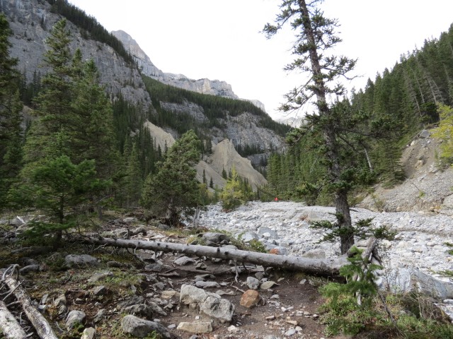 Grotto Creek valley