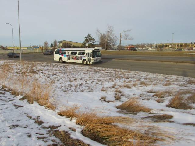 Calgary Transit GMC bus