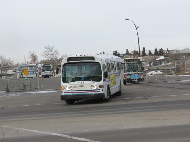Calgary Transit Fishbowl bus