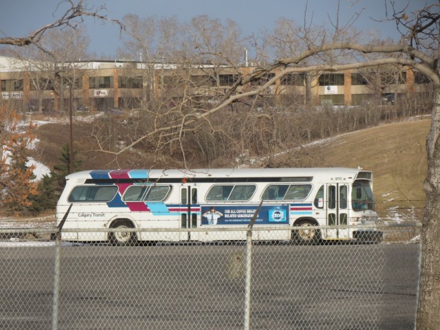 GMC bus Calgary Transit