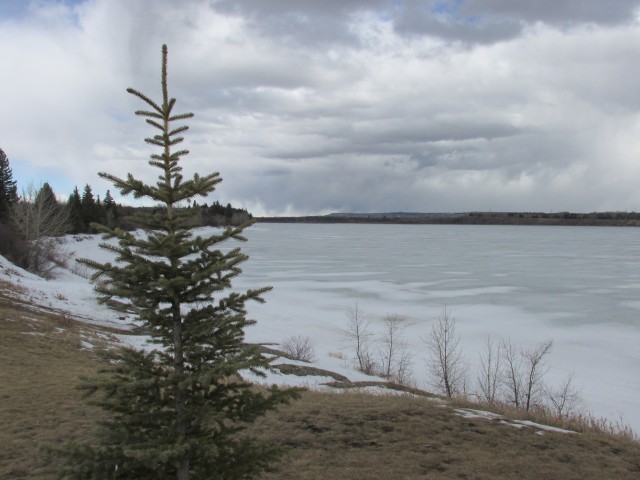 Frozen Glenmore Reservoir