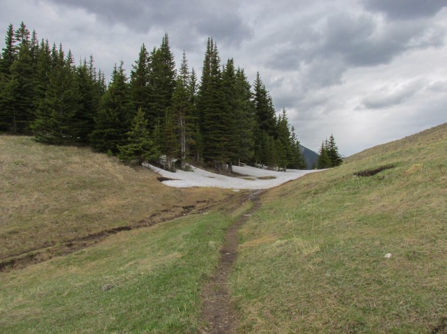 Grass Pass hiking trail