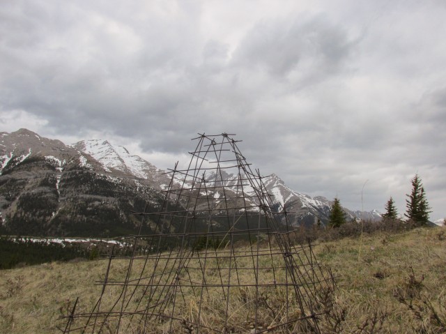 Bull Creek Hills cage