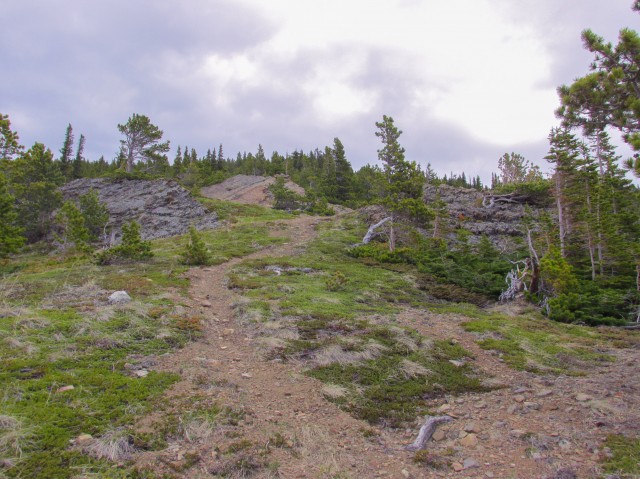 Bull Creek Hills trail